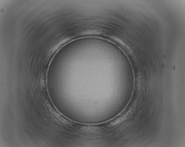 X0000082720929200702091809