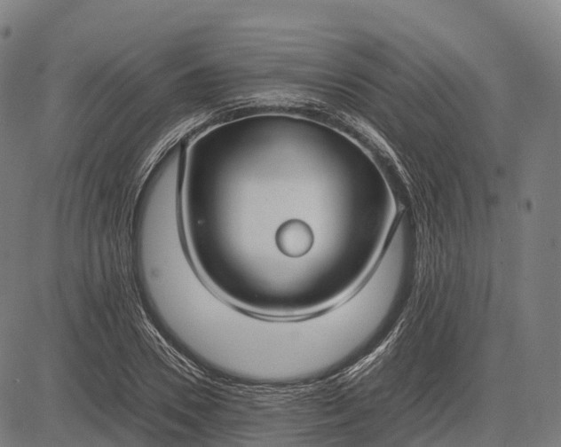 X0000082720930200702091809