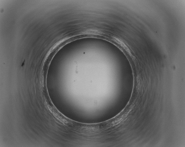 X0000082720931200702091809