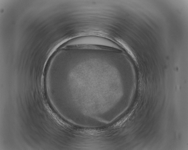 X0000082720932200702091809