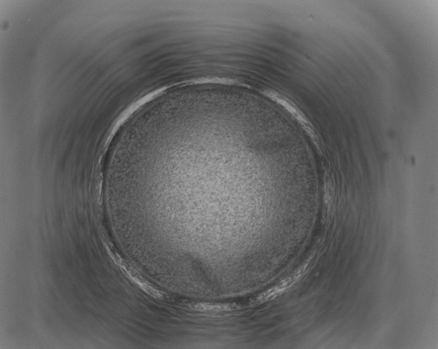 X0000082720933200702091809