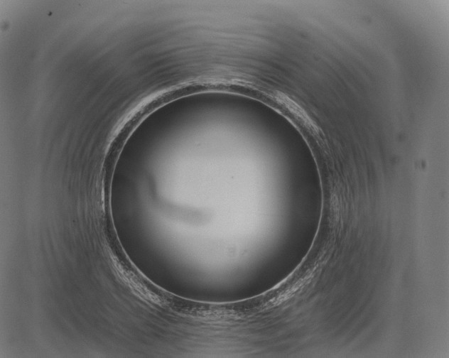 X0000082720934200702091809