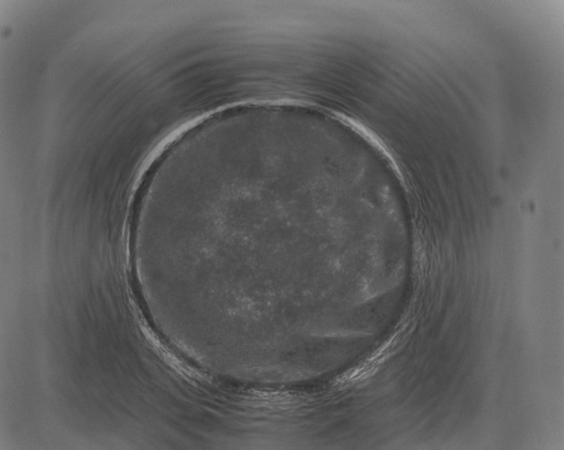 X0000082720935200702091809