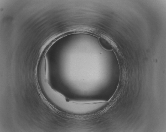 X0000082720936200702091809