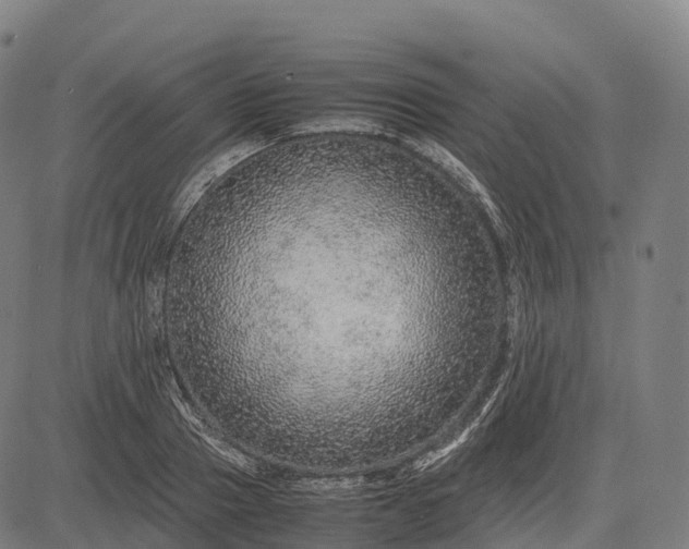 X0000082720937200702091809