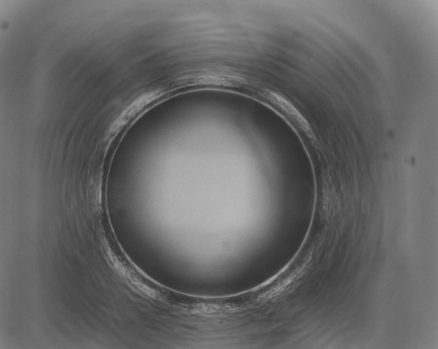 X0000082720938200702091809