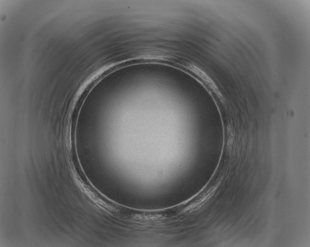 X0000082720939200702091809