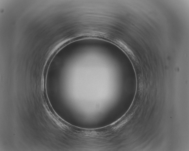 X0000082720940200702091809