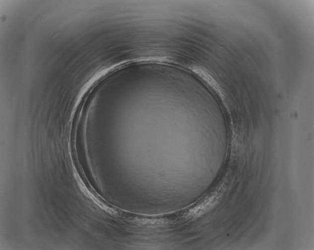 X0000082720941200702091809