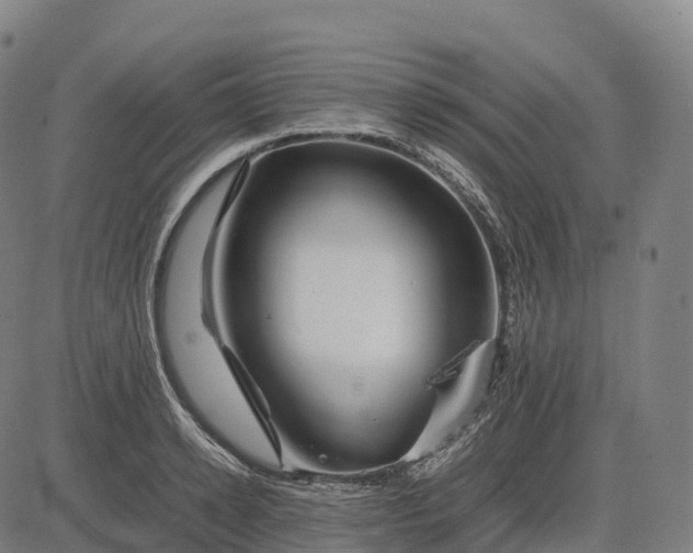 X0000082720942200702091809