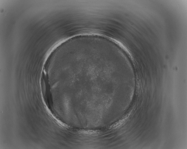 X0000082720943200702091809