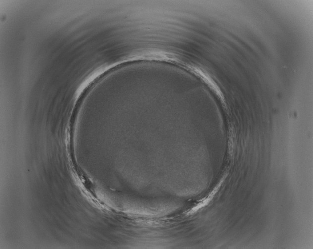 X0000082720944200702091809