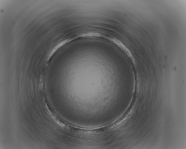 X0000082720945200702091809