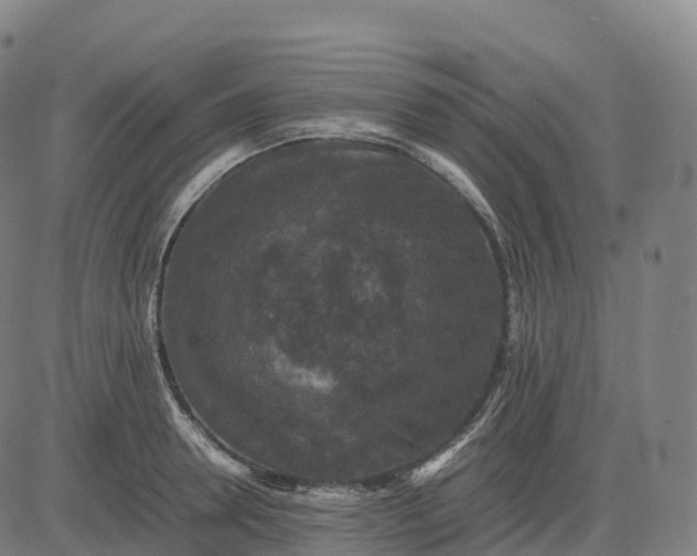 X0000082720946200702091809