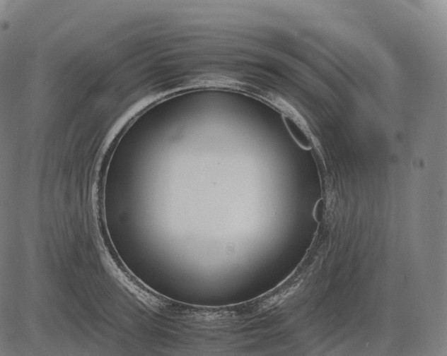 X0000082720947200702091809