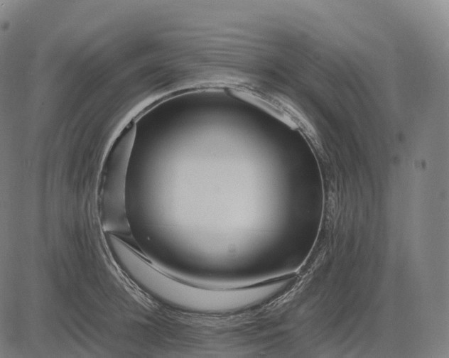 X0000082720948200702091809