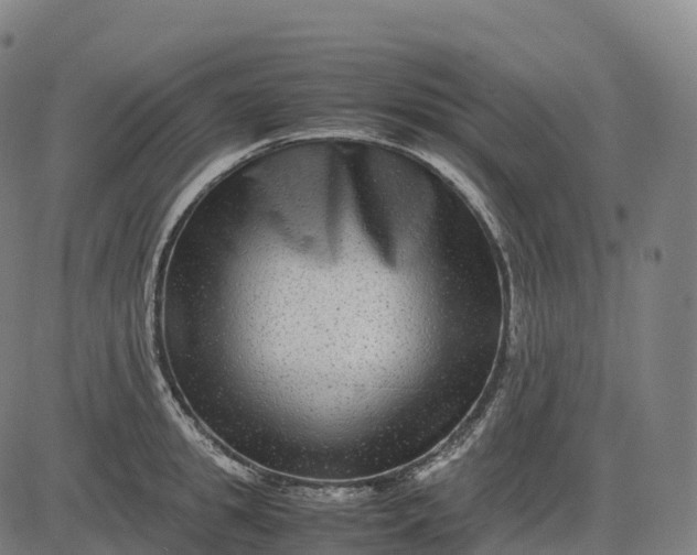 X0000082720949200702091809