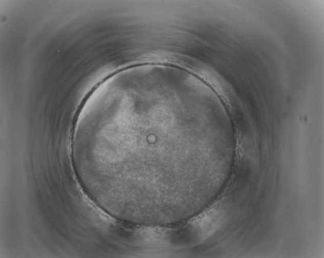 X0000082720950200702091809