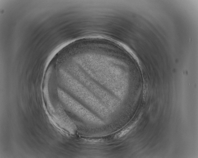 X0000082720951200702091809