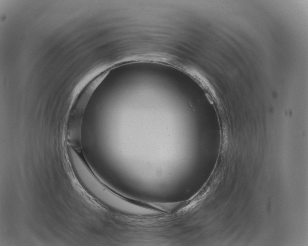 X0000082720952200702091809