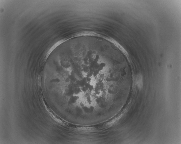 X0000082720953200702091809