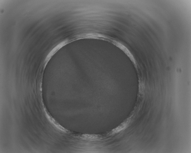 X0000082720954200702091809