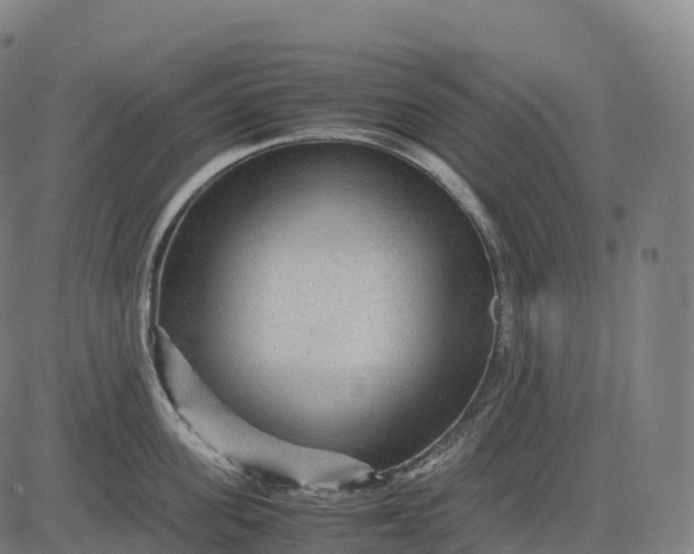 X0000082720955200702091809