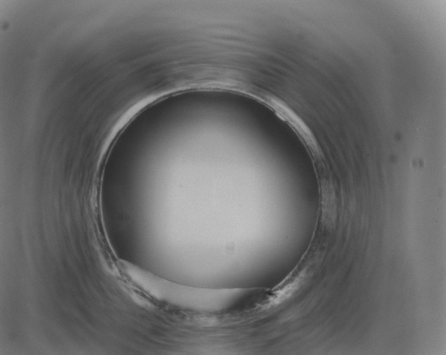 X0000082720956200702091809