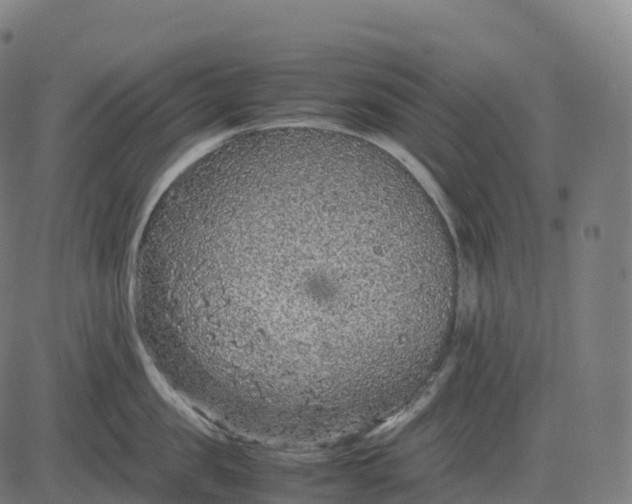 X0000082720957200702091809