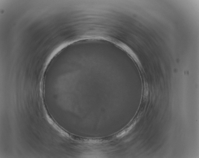 X0000082720958200702091809