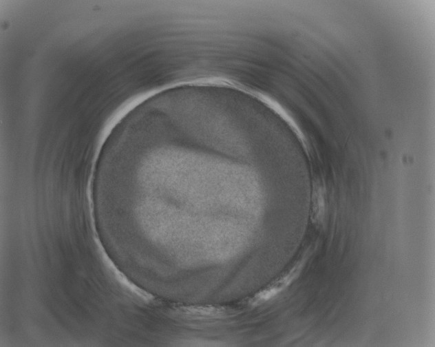 X0000082720959200702091809