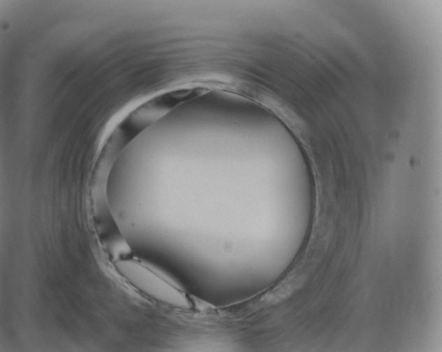 X0000082720960200702091809