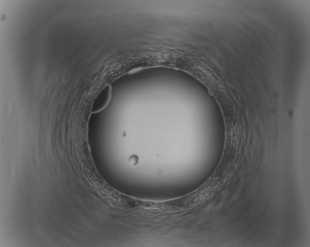 X0000082720961200702091809