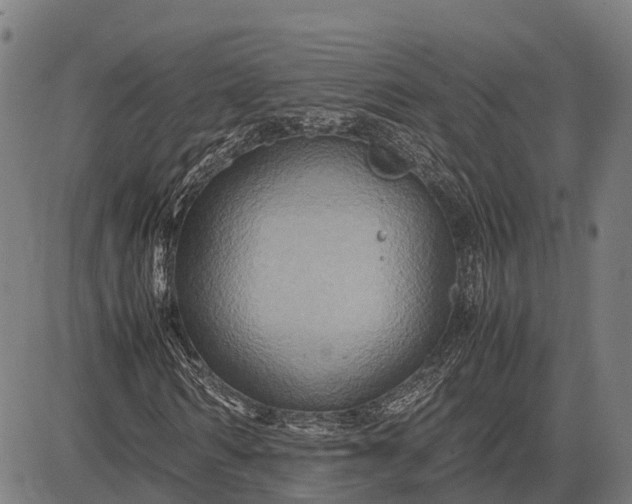 X0000082720962200702091808