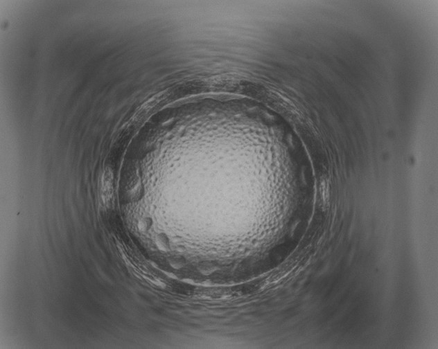 X0000082720963200702091808