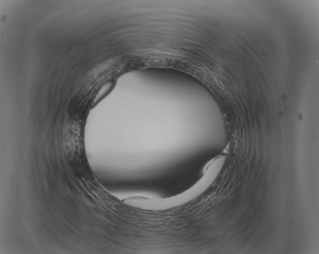 X0000082720964200702091808