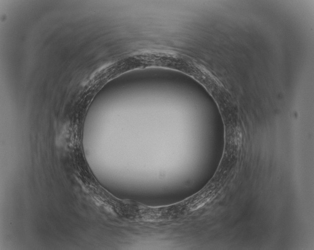 X0000082720965200702091808