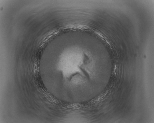 X0000082720966200702091808