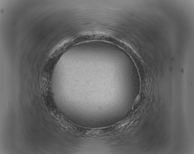 X0000082720967200702091808