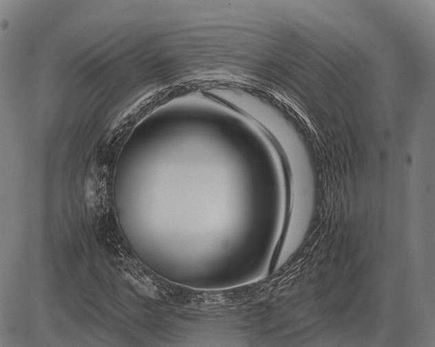 X0000082720968200702091808