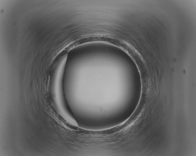 X0000082720969200702091808