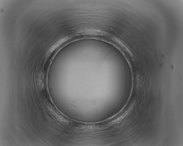 X0000082720970200702091808