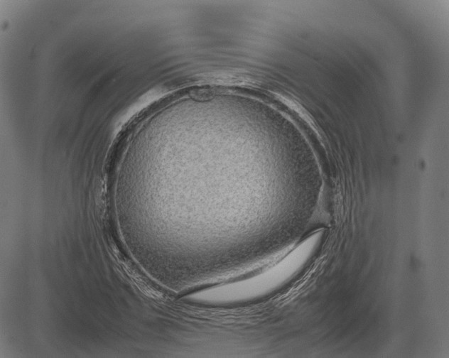 X0000082720971200702091808