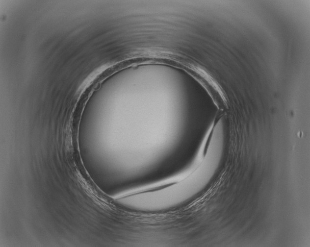 X0000082720972200702091808