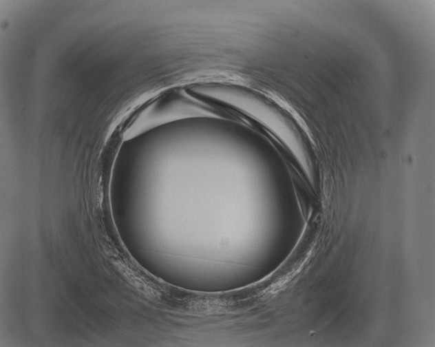 X0000082720973200702091808