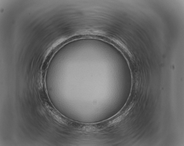 X0000082720974200702091808