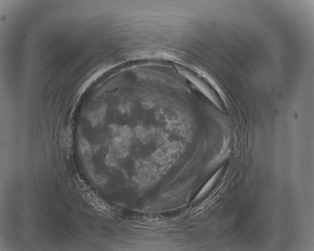 X0000082720975200702091808