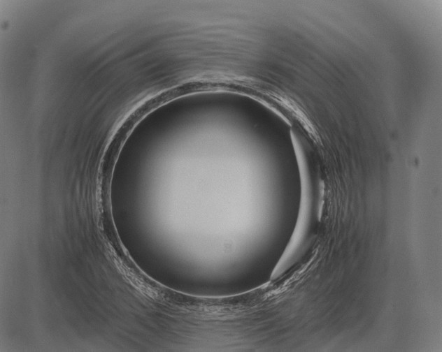 X0000082720976200702091808