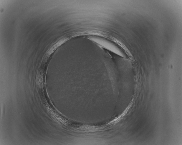 X0000082720977200702091808