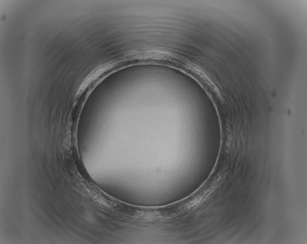 X0000082720978200702091808